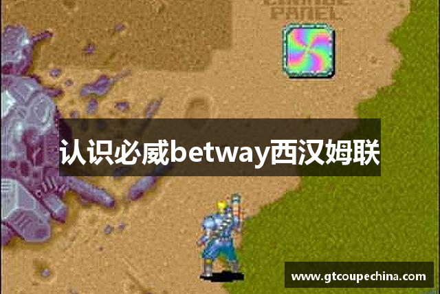 认识必威betway西汉姆联